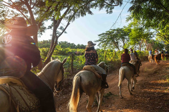 Horse-Riding-Tours-Vista-Paraiso-Punta-Mita-Puerto-Vallarta