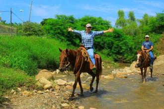 Horseback Riding Tour 4