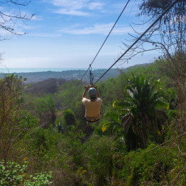 Canopy Tour